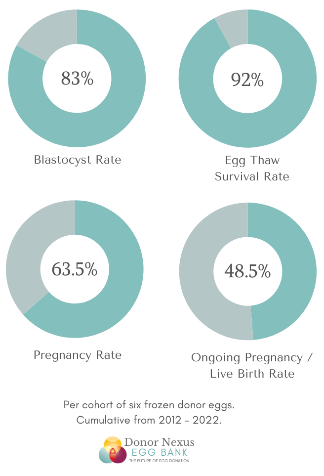 This chart displays the Frozen Donor Egg Success Rates with the Donor Nexus Egg Bank: 83% blastocyst rate, 92% egg thaw survival rate, 63.5% pregnancy rate, 48.5% live birth rate. Per cohort of six frozen donor eggs. Cumulative from 2012-2022. Visit this webpage to learn more!